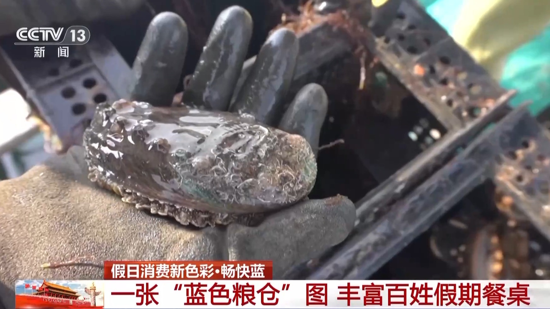 海天一色蓝色粮仓！假期去大海体验“蓝”色消费新场景