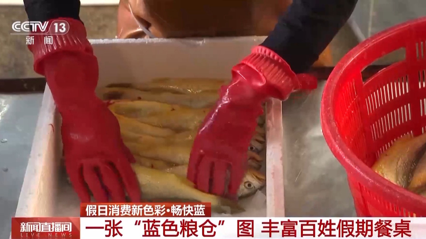 海天一色蓝色粮仓！假期去大海体验“蓝”色消费新场景(图2)