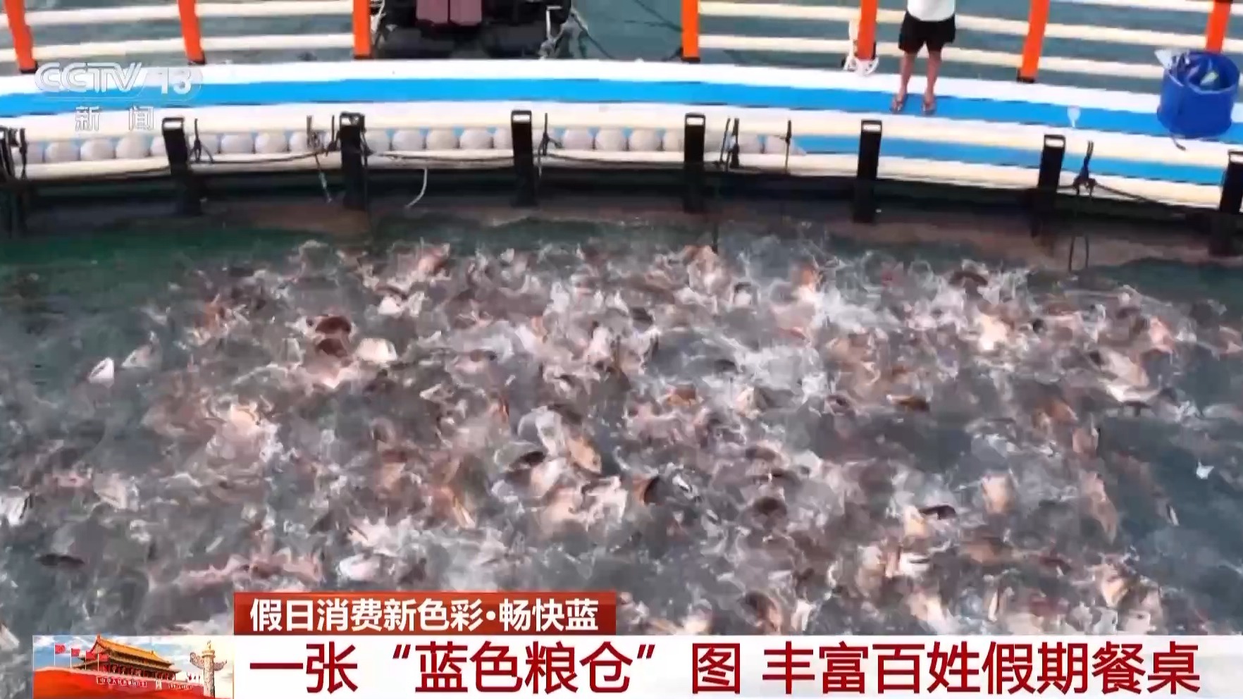 海天一色蓝色粮仓！假期去大海体验“蓝”色消费新场景(图3)