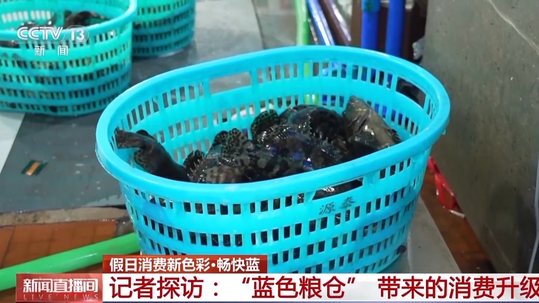 海天一色蓝色粮仓！假期去大海体验“蓝”色消费新场景(图7)