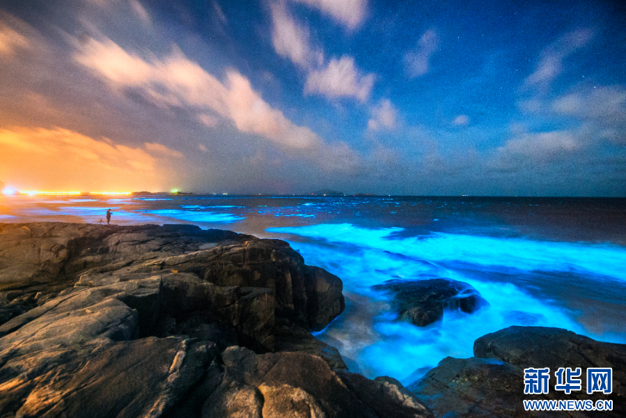 为青春浪漫而歌 2024中国平潭海岛合唱大会即将启幕-新华网(图2)