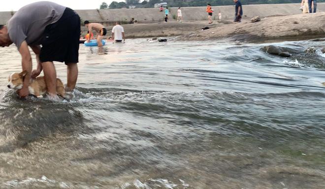 泸州有个水中坝九条龙天然形成冲浪区夏日伏天好去处(图5)