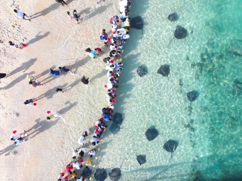 超两千家外媒关注 2024“海南旅文精品 TOP10”海外圈粉(图3)