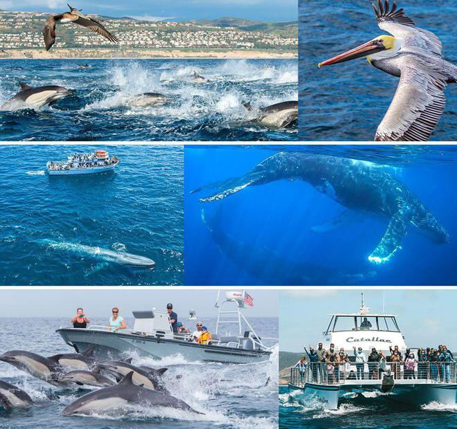 无戏水不夏天！去这些热门海滨度假胜地享受清凉一夏(图11)