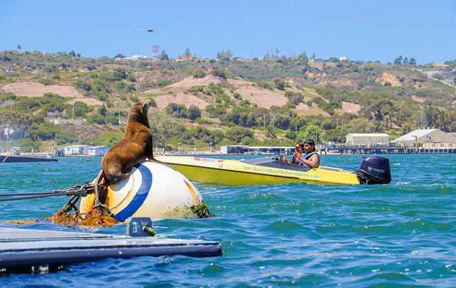 无戏水不夏天！去这些热门海滨度假胜地享受清凉一夏(图10)