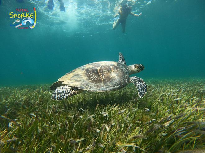 无戏水不夏天！去这些热门海滨度假胜地享受清凉一夏(图19)