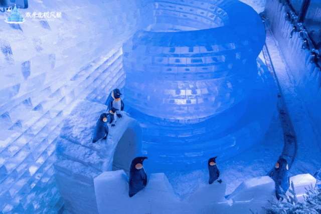 抓住暑假的尾巴这些乐园活动有没有感兴趣的(图15)