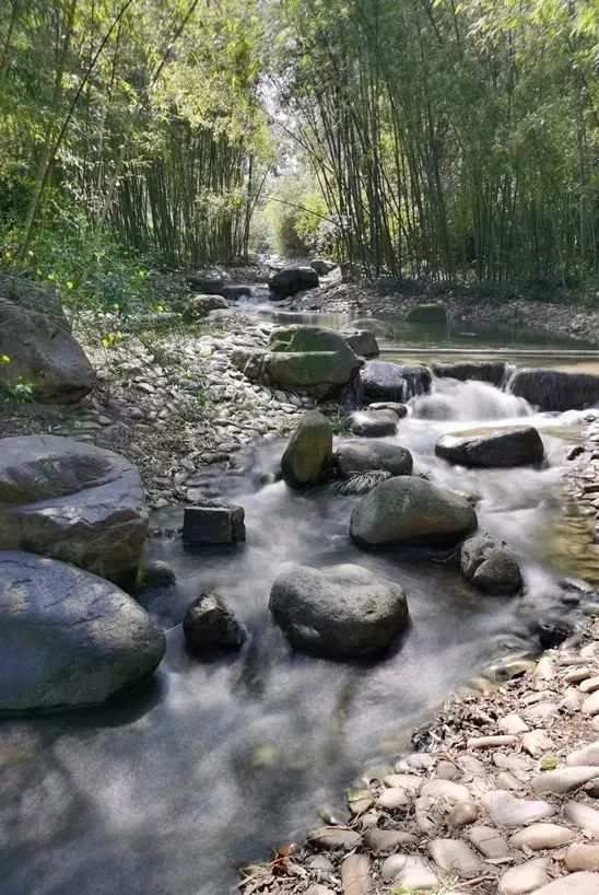 寻找夏日清凉上海市中心这些玩水地等你来玩(图5)