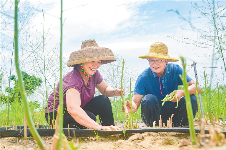 三亚：产业花开 致富果来