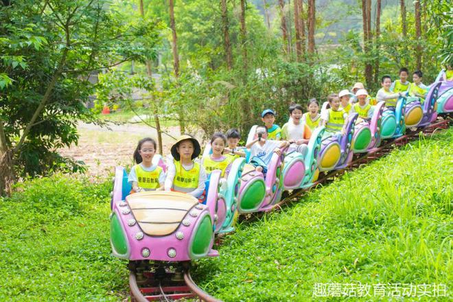 班级活动│深圳附近超好玩的童话乐园玻璃水滑彩虹滑梯丛林魔网(图4)