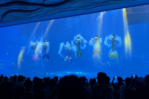 海南海洋欢乐世界推出“蓝海护卫队”全新IP 畅游四大主题乐园