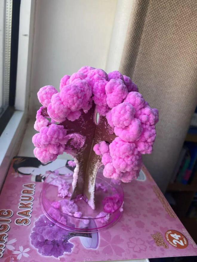 “活人微死”是种什么体验？年轻人开始用尽方法“回血”(图2)