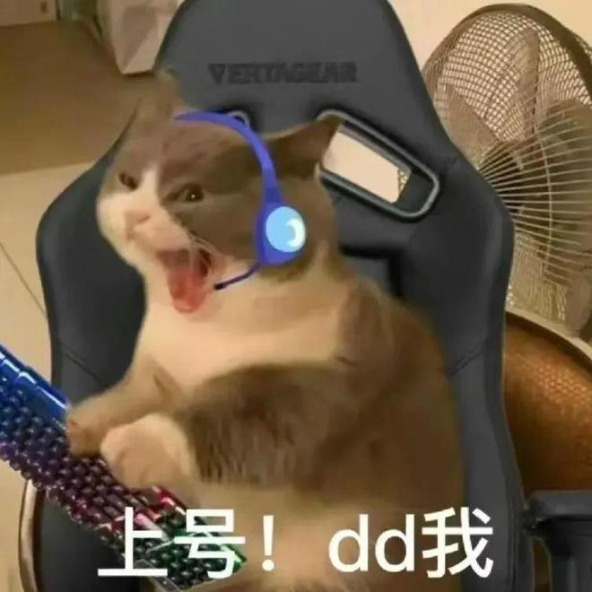 “活人微死”是种什么体验？年轻人开始用尽方法“回血”(图4)