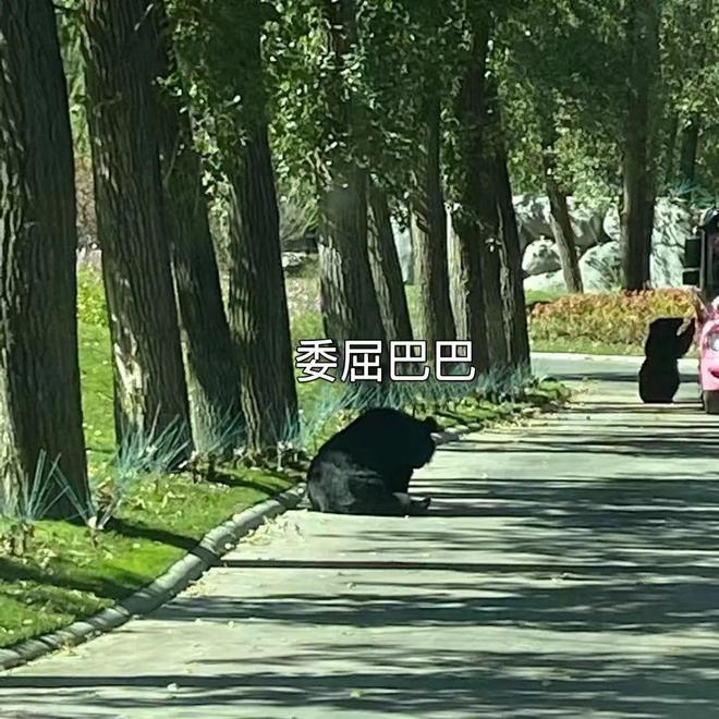 “活人微死”是种什么体验？年轻人开始用尽方法“回血”(图8)