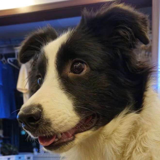 “活人微死”是种什么体验？年轻人开始用尽方法“回血”(图10)