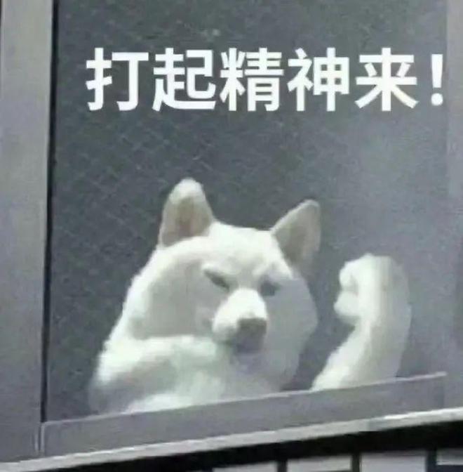 “活人微死”是种什么体验？年轻人开始用尽方法“回血”(图11)