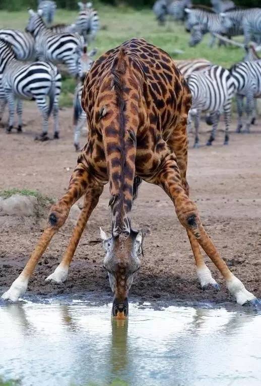 网友评选人生最酷的33个旅行体验你尝试过几个？(图7)