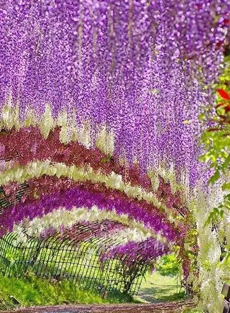 网友评选人生最酷的33个旅行体验你尝试过几个？(图10)