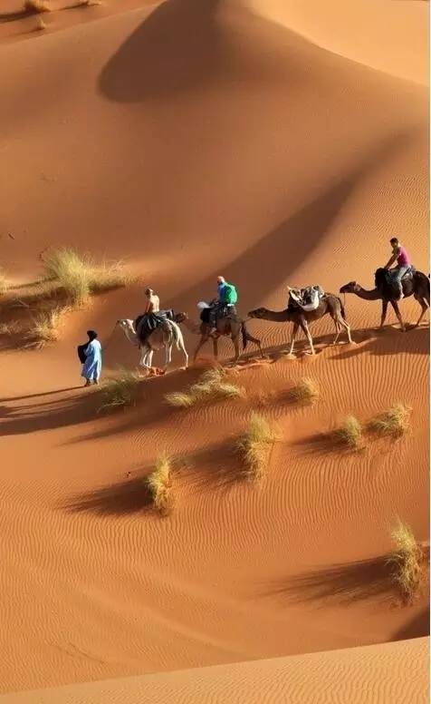 网友评选人生最酷的33个旅行体验你尝试过几个？(图13)