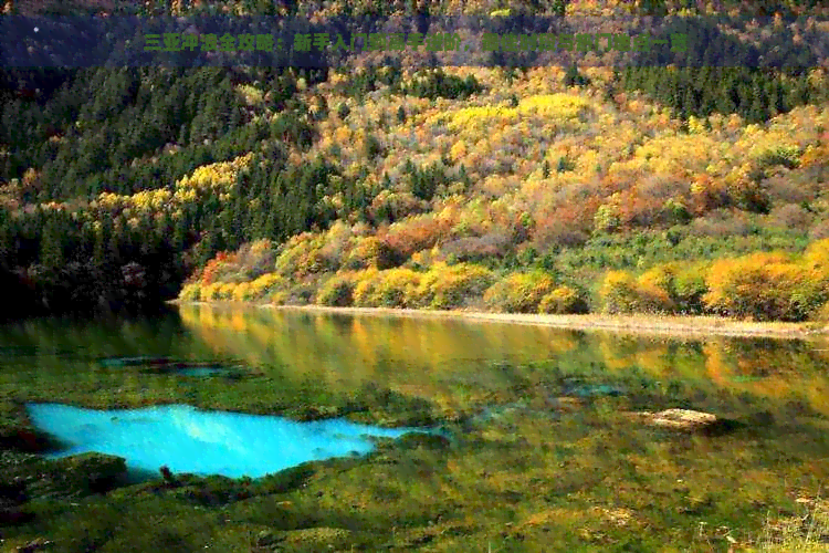 海南旅游三亚冲浪(图4)