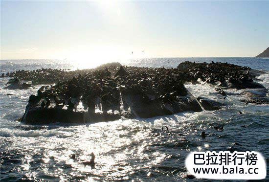 全球十大最刺激冲浪胜地(图9)