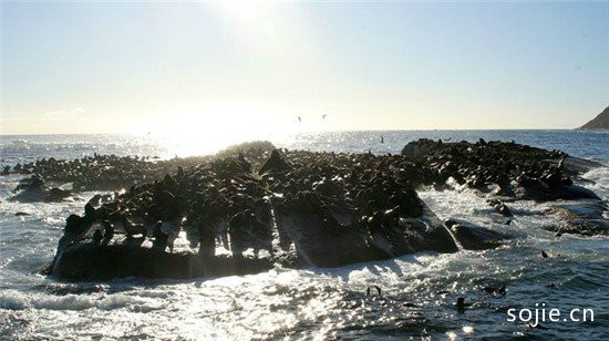 全球最刺激的十大冲浪目的地排行榜(图9)