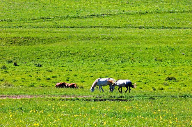 揭秘七月份避暑玩水全攻略京津冀夏日旅游指南！(图8)