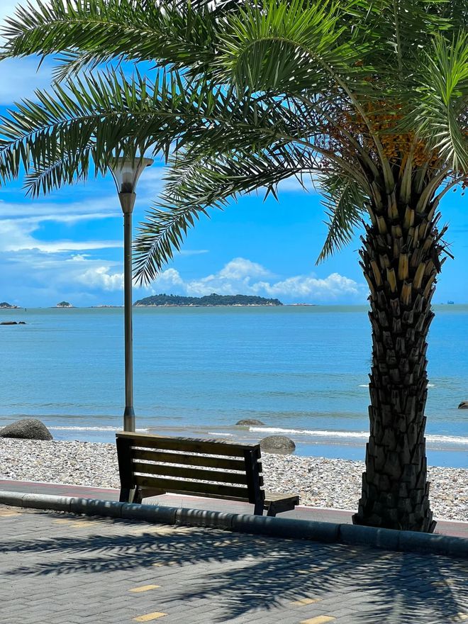 厦门本地小团六日亲民消费攻略！厦门旅行社游玩6日精华线路(图3)