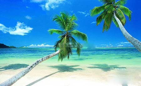 全球最刺激的四大冲浪地 享受激流中的狂喜