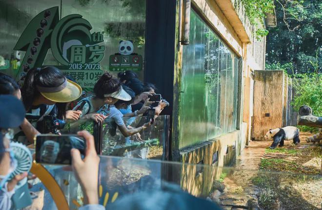 海口又一波宠粉福利来袭！看演唱会享景区优惠→(图2)