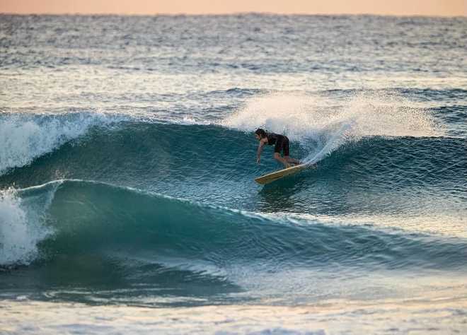 本周末（10 月 4 日 - 6 日）棕榈滩县五大有趣活动(图2)