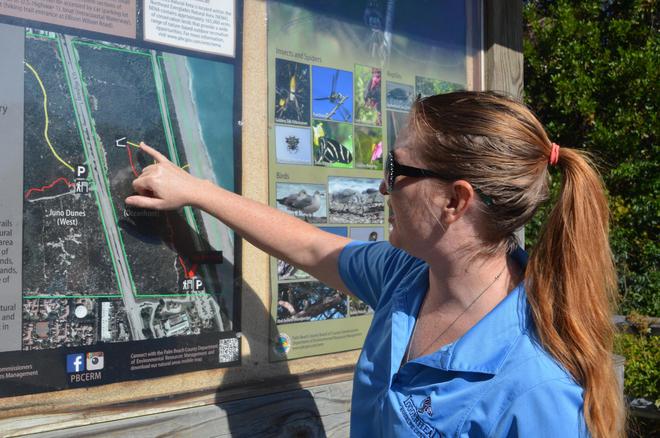 本周末（10 月 4 日 - 6 日）棕榈滩县五大有趣活动(图3)