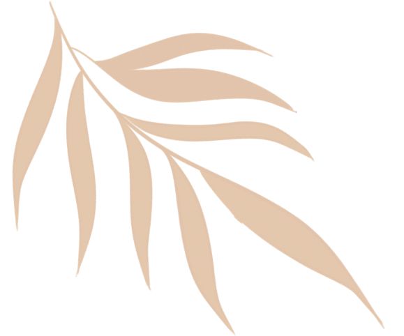 被巴黎奥运带火的旅游地没有平替！(图6)