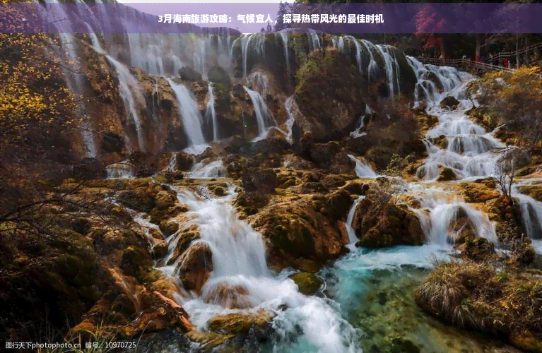 海南旅游更佳季节(图3)
