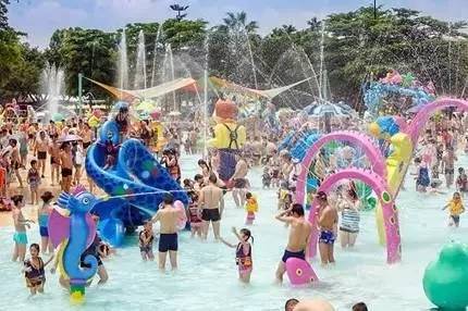 风筝冲浪激情燃爆东山！2024福建公开赛精彩回顾