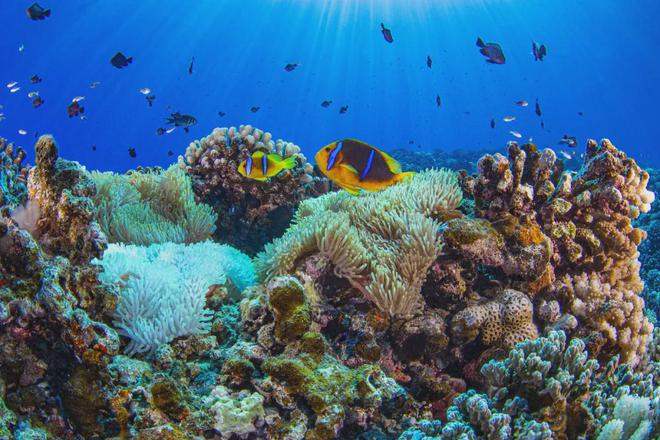 郑州大溪地_大溪地户型图 (2024 官方营销中心) -【 百度百科】(图2)