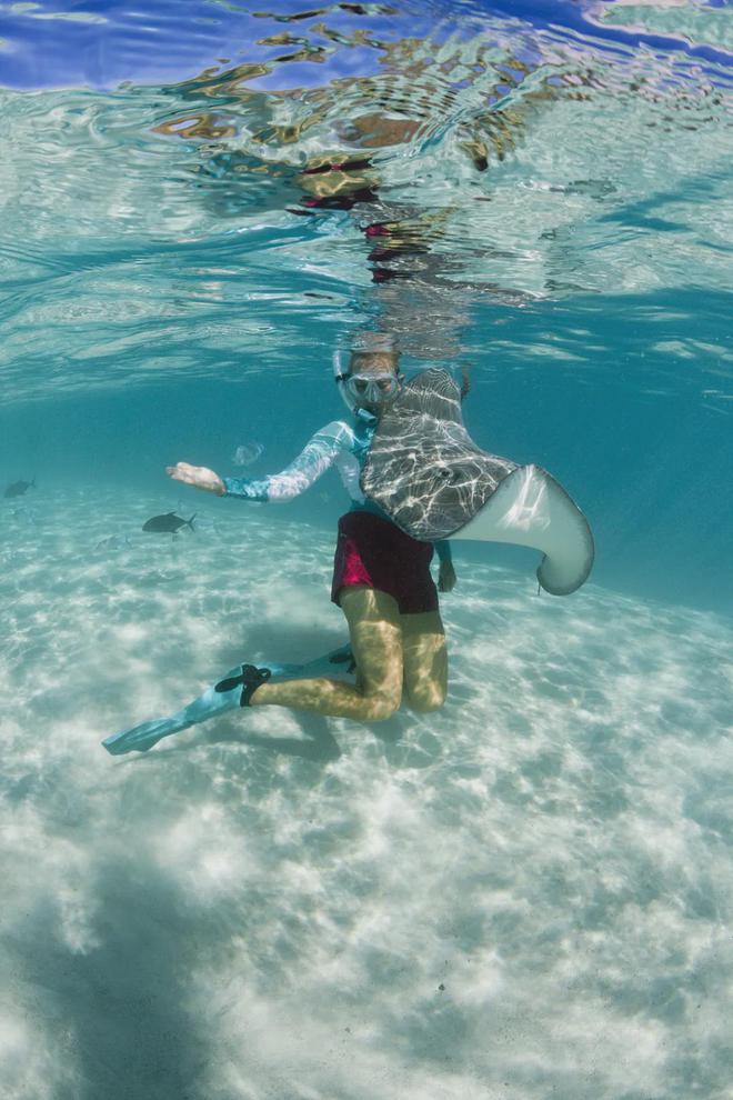 郑州大溪地_大溪地户型图 (2024 官方营销中心) -【 百度百科】(图6)