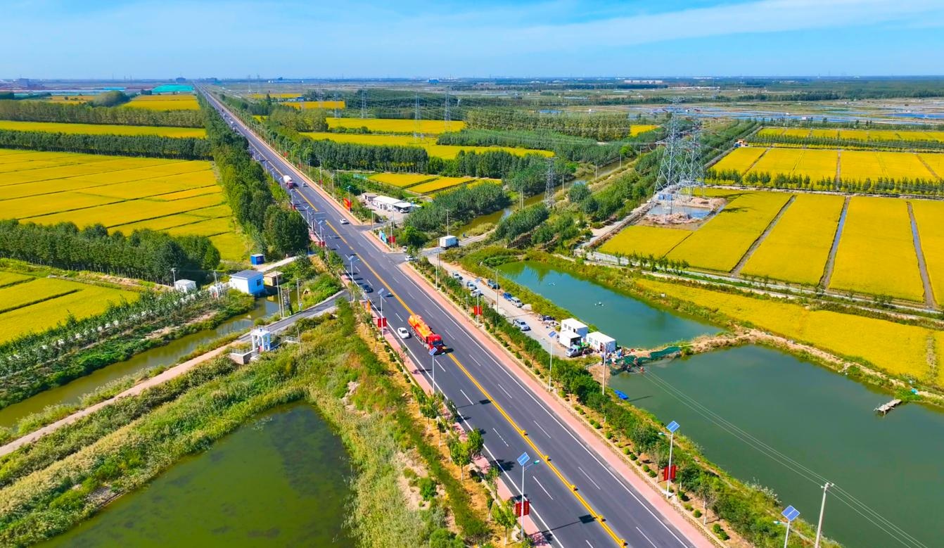 河北曹妃甸：“生态观光旅游路”激活融合发展“新引擎”(图2)