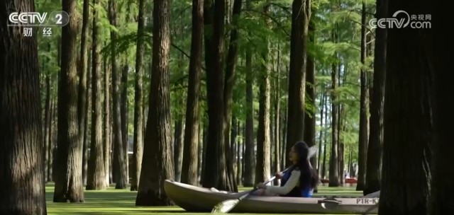 户外攀岩、水上漂流、湖上泛舟……缤纷文旅活动点亮清凉一“夏”(图3)