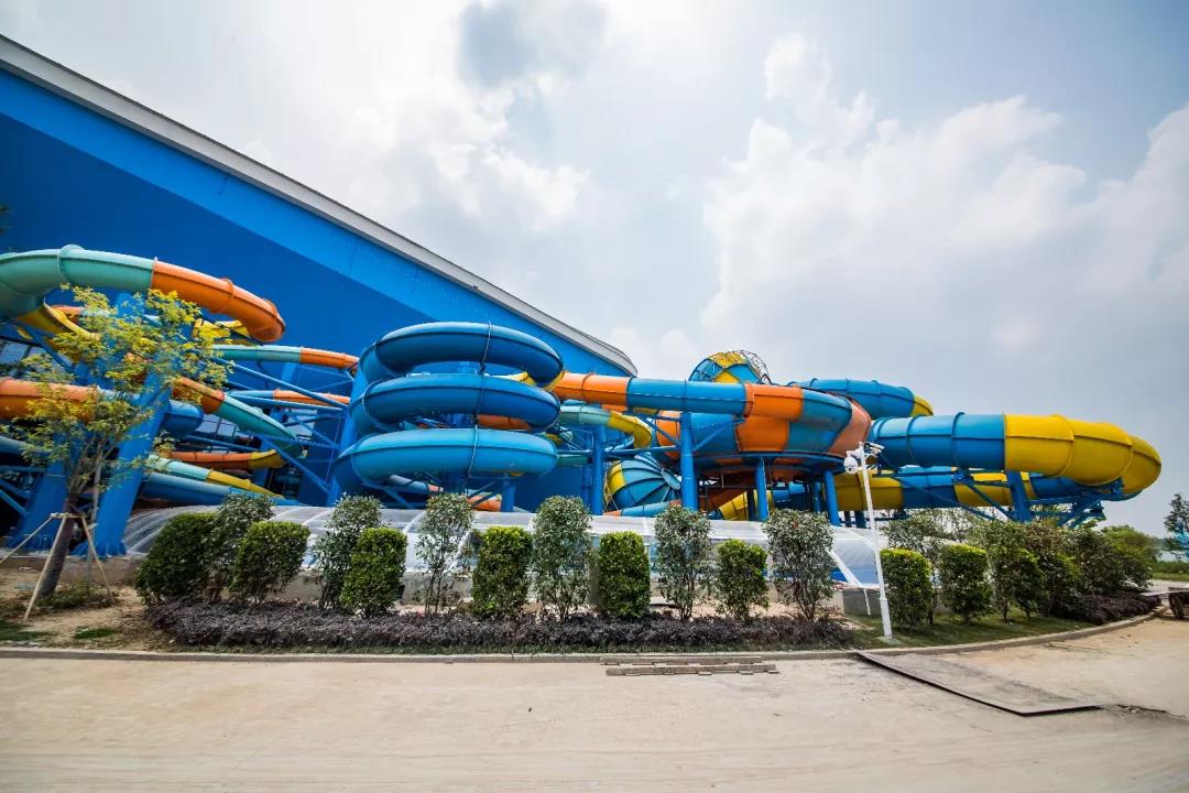 打造辉煌浪潮之巅的优的配 “冲浪板变形金刚”