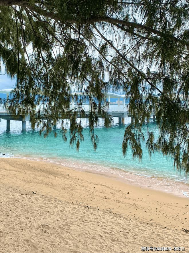 三亚旅游适合小孩5天路线三亚跟团五日游纯玩导游怎么找