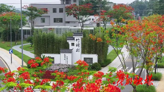 花都：打造大湾区世界级旅游目的地重要承载区(图11)