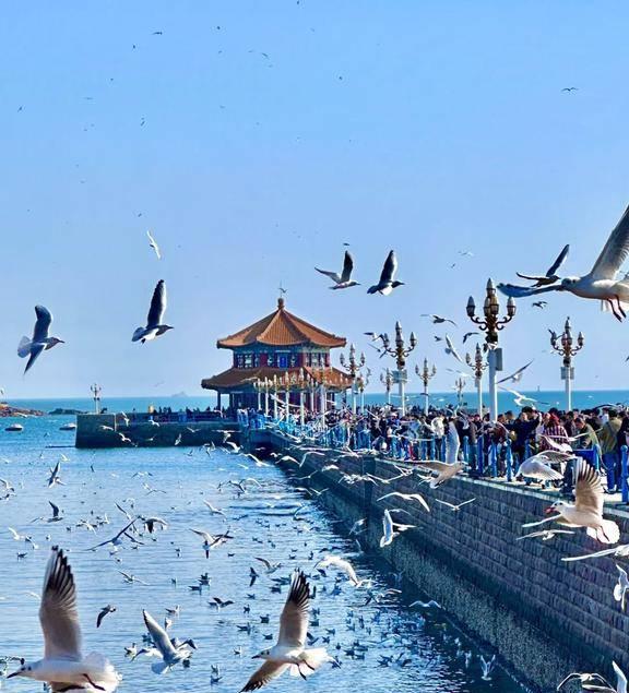 中国最美的八大沿海城市排名青岛仅排第三烟台居然没上榜(图12)