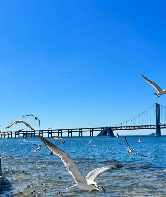 中国最美的八大沿海城市排名青岛仅排第三烟台居然没上榜(图18)