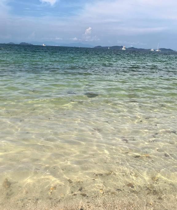 中国最美的八大沿海城市排名青岛仅排第三烟台居然没上榜(图17)