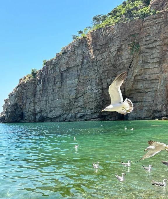 中国最美的八大沿海城市排名青岛仅排第三烟台居然没上榜(图19)