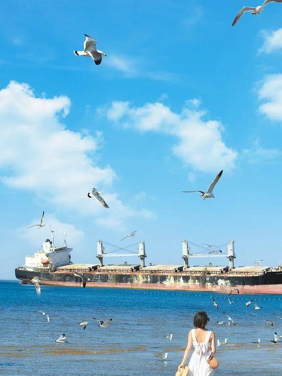 中国最美的八大沿海城市排名青岛仅排第三烟台居然没上榜(图29)