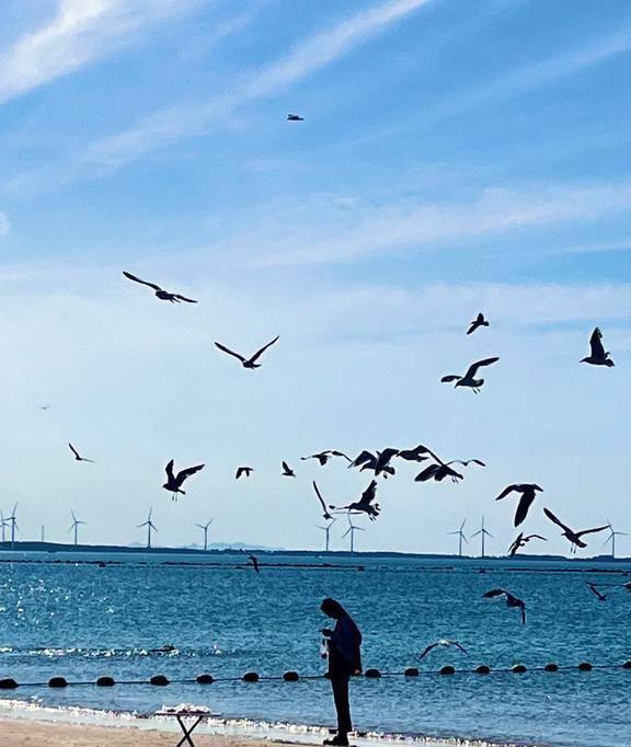 中国最美的八大沿海城市排名青岛仅排第三烟台居然没上榜(图30)