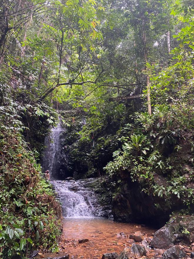 今年最猛的旅行在大马雨林里徒步7小时(图9)