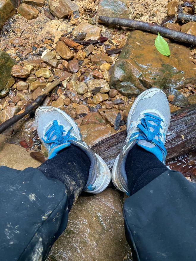 今年最猛的旅行在大马雨林里徒步7小时(图6)